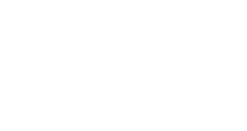 Fondo Italiano per la Scienza